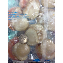 北海道超級珍寶(2L碼)帆立貝