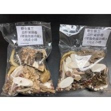 野生雲芝湯 [自取貨]