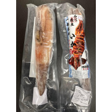 日本石川縣魷魚