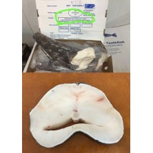 法國小鱗犬牙南極雪魚扒(Patagonian Toothfish)