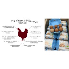 西班牙有機蛋 [自取貨]