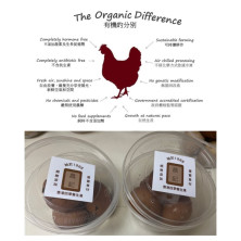 益智養生桑寄生蛋 (西班牙有機雞蛋) (香港製造)